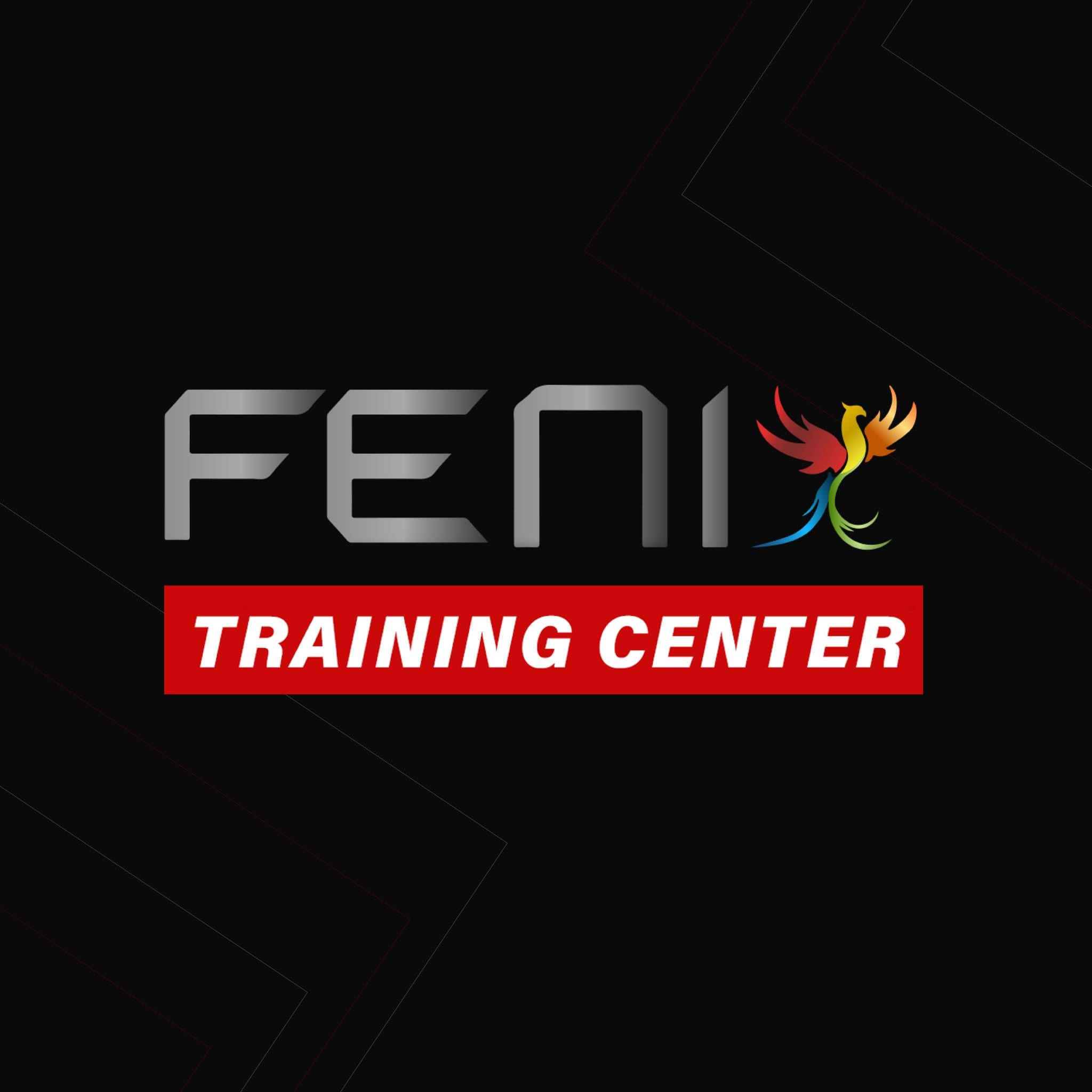 Fenix Center Website
